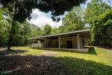  Finca Dos Bocas - Photo 4