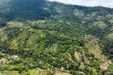  Finca Dos Bocas - Photo 41