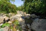  Finca Dos Bocas - Photo 9