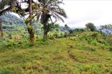 60504 Uvita - Photo 17