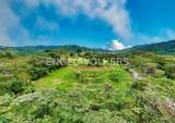  3,2 Acres Panoramic Lot Santa Elena - Photo 4