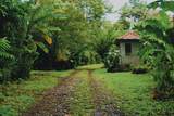  Finca Isla Rainforest Retreat - Photo 2
