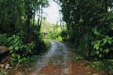  Finca Isla Rainforest Retreat - Photo 3