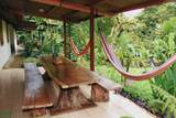  Finca Isla Rainforest Retreat - Photo 6