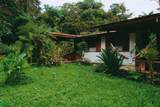  Finca Isla Rainforest Retreat - Photo 7