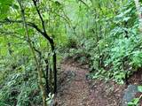 s/n Monteverde - Photo 7