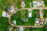 #36 Flamingo Estates - Photo 2