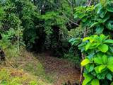  Private Ocean View Lot - Photo 11