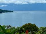  Private Ocean View Lot - Photo 14
