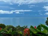  Private Ocean View Lot - Photo 3