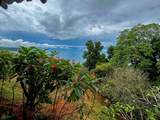  Private Ocean View Lot - Photo 7