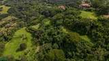 Atenas Prime Development Land - Photo 15