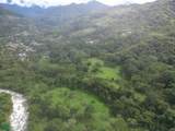  Quiet Grove Above The River | Chirripo - Photo 1