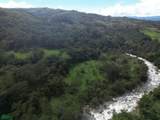  Quiet Grove Above The River | Chirripo - Photo 3