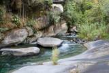  Los Angeles River Side Retreat | Chirripo - Photo 1