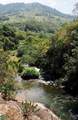  Los Angeles River Side Retreat | Chirripo - Photo 4