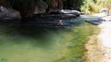  Los Angeles River Side Retreat | Chirripo - Photo 5