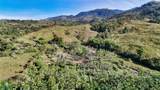  Finca Permavida - Photo 15