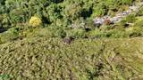  Finca Permavida - Photo 17