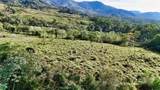  Finca Permavida - Photo 19