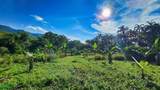  Finca Permavida - Photo 2