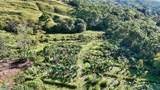  Finca Permavida - Photo 20