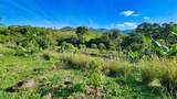 Finca Permavida - Photo 6