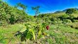  Finca Permavida - Photo 7