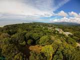  Luxury Development Land - Photo 10