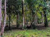  Luxury Development Land - Photo 12