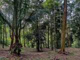  Luxury Development Land - Photo 16