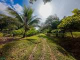  Luxury Development Land - Photo 18