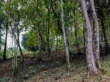  Luxury Development Land - Photo 20