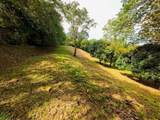  Luxury Development Land - Photo 22