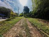  Luxury Development Land - Photo 24