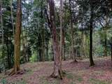  Luxury Development Land - Photo 25