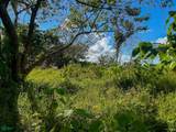 Flat Ocean View Lot - Photo 13