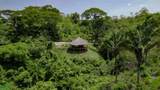  Eco Jungle Retreat With Mountain Views - Photo 10
