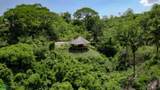  Eco Jungle Retreat With Mountain Views - Photo 9