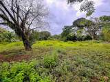  Titled Land Steps From The Beach - Photo 16