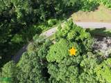  2.47 Acres Property | Mountain Top Ocean View Lot - Photo 10