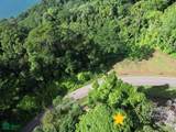 2.47 Acres Property | Mountain Top Ocean View Lot - Photo 11