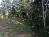  2.47 Acres Property | Mountain Top Ocean View Lot - Photo 21