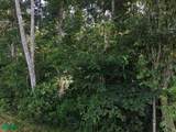  2.47 Acres Property | Mountain Top Ocean View Lot - Photo 24