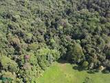  69.16 Acres Property Mountain & Top Ocean View - Photo 10
