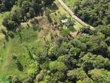  69.16 Acres Property Mountain & Top Ocean View - Photo 11