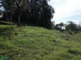  69.16 Acres Property Mountain & Top Ocean View - Photo 13