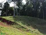  69.16 Acres Property Mountain & Top Ocean View - Photo 15