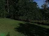  69.16 Acres Property Mountain & Top Ocean View - Photo 26