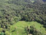  69.16 Acres Property Mountain & Top Ocean View - Photo 6